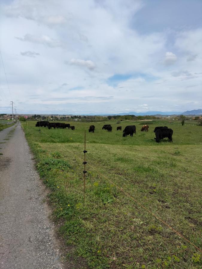 Rod Ranch Livestock - Appartamento Con Camino E Vista Piscina Campagnano Di Roma Exterior foto